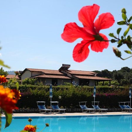 Agriturismo Ninea Ricadi Exterior photo