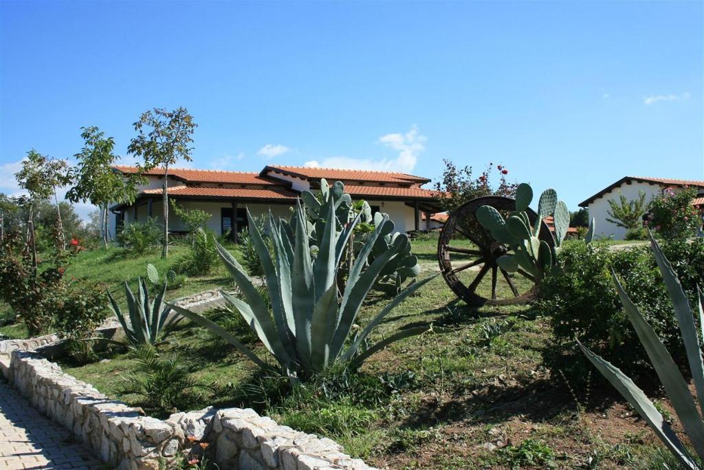 Agriturismo Ninea Ricadi Exterior photo