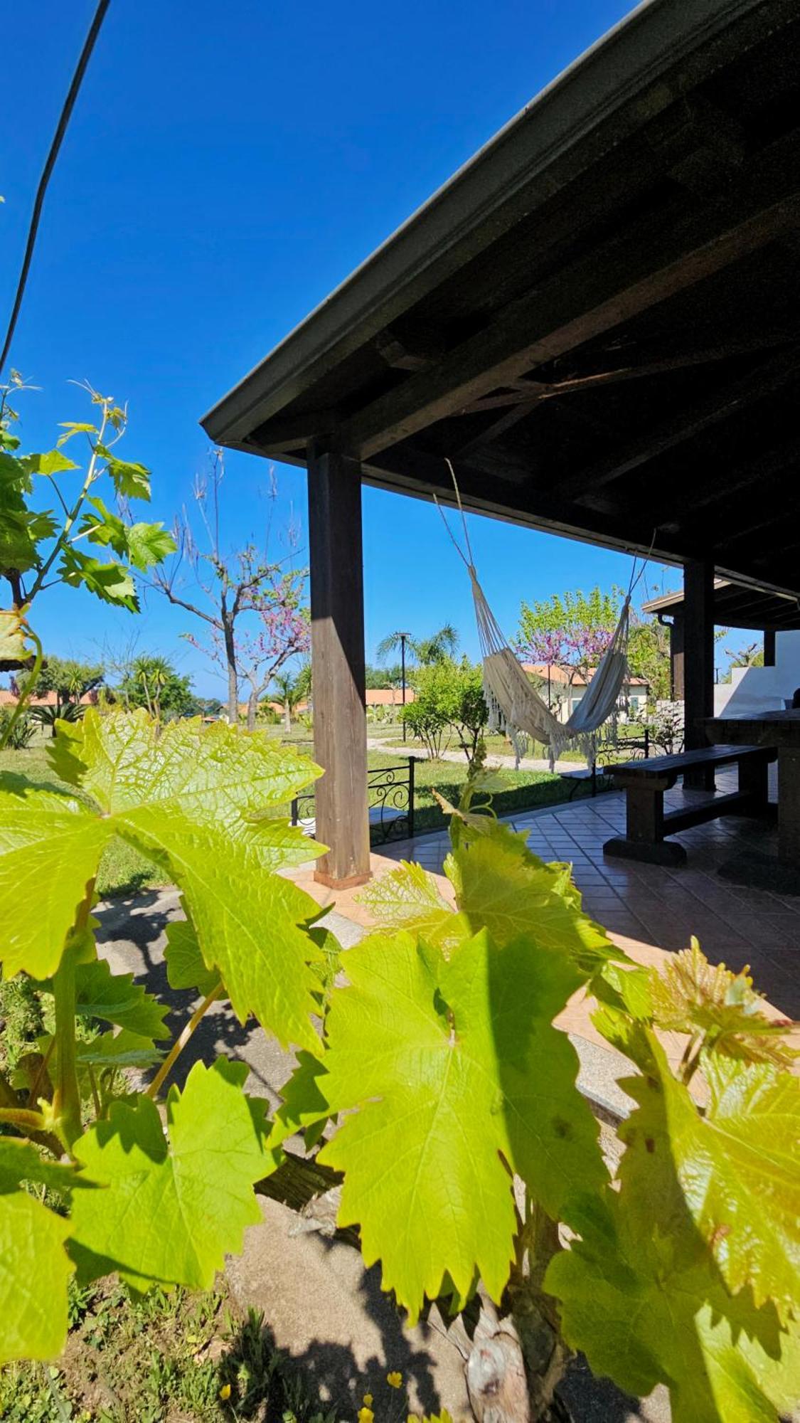 Agriturismo Ninea Ricadi Exterior photo